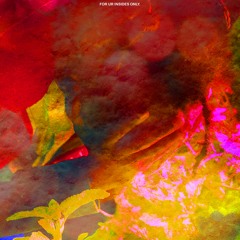 for ur insides only..