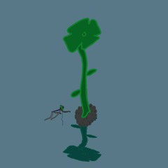 Nutrient Mirror Pool