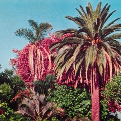 MINUTE MADE FT. YUNG SIMMIE (Prod. ANTSYD)