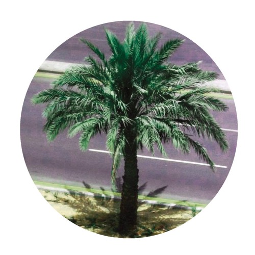 PREMIERE: Harrison BDP - Watching The World Go By [Lost Palms]