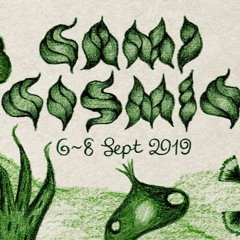 CAMP COSMIC 2019