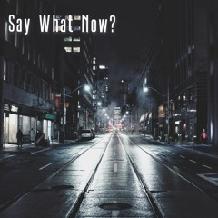 Say What Now? (WIP) {Progressive House}