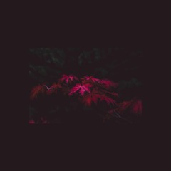 Kayou. - i can't forget you