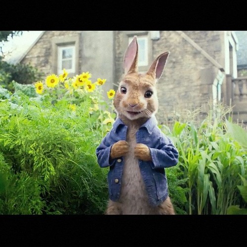 Stream Peter Rabbit (2019) HD.1080p movies.mp4 by worlsmovies | Listen  online for free on SoundCloud