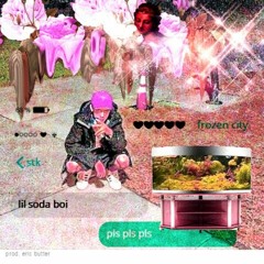 Lil Soda Boi - pls pls pls (prod. eric butter)