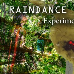 Raindance