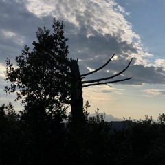 Tech House & Techno Mix 1