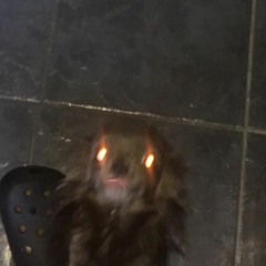 I HATE THE WHOLE POPULATION