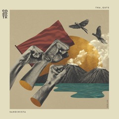 Tha_guts - Militar Es En La Calle