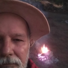 Perola Negra - versão 2019