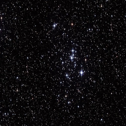 Songs For A Guilty Sadist (Crywank Cover)(prod.cxltgod)