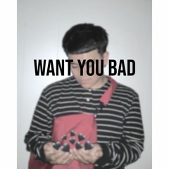 Want you bad (prod. DJNC)