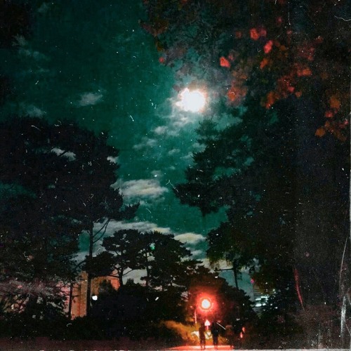 THe WiZaRD oF oZ (feat. TYLE / prod. 1oarte)