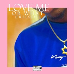 Love Me Or What (Freestyle)