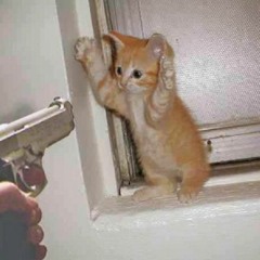 ✧･ﾟ:* it's okay *:･ﾟ✧