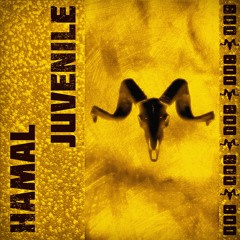 HAMAL - Juvenile *FREE DOWNLOAD*