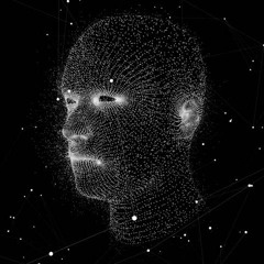 2019 Production/Collaborations