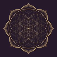 Mind Modulation - Forest Psytrance