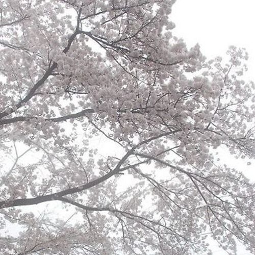 hypertenshi - escapism