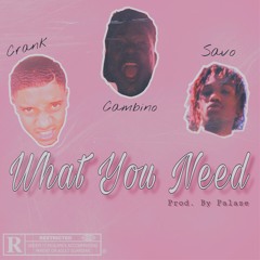What You Need ft. Cambino , Savo (Prod. By Palaze)