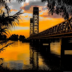 Rvbridgeman Fav's