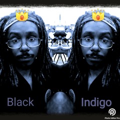 Black Indigo Track 11
