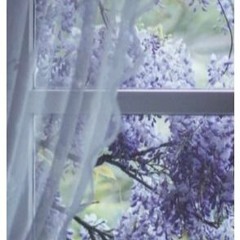 Wisteria Room