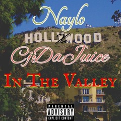 Naylo ft CjDaJuice In the valley
