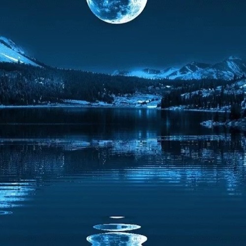 Moonlite dancin