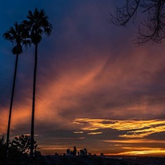 Los Angeles Electric Sunsets Vol.17