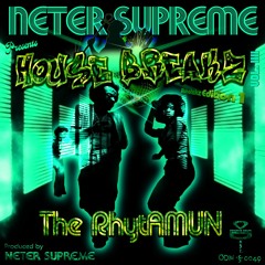 Neter Supreme Pres. House BreakZ VIIII - The RhytAMUN (PREVIEWS) NOW AVAILABLE