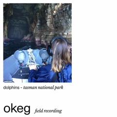 chm. three - okeg