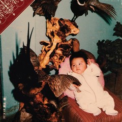 사이먼도미닉 - 귀가본능 (cover)