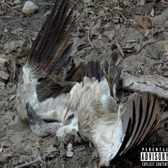 VultureK (Prod. By Dussè)