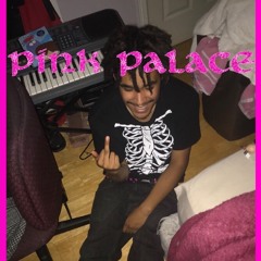 krvmpus x beth sawlts - pink palace