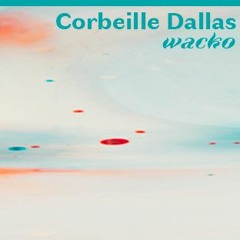 Wacko 05 : Corbeille Dallas