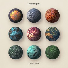 Life Forms [Club Edit] (Bonus Track)