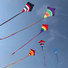 Kites Rise In Wind