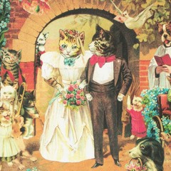 lotus-eater (Prod. Dak)