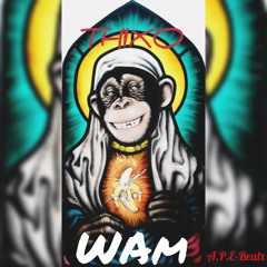 Thixo Wam [prod. A.P.E-Beatx]