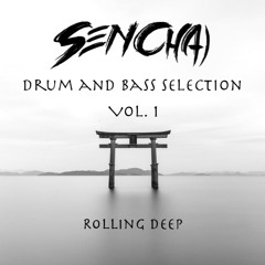 Drum and Bass Selection Vol. 1 - Rolling Deep