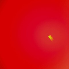 THRU DA BACK (FT. TGWAP) [PROD. BY JULIO]