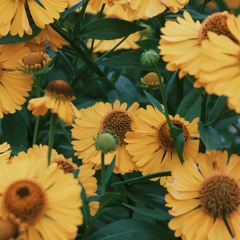 004. if.the.shoe.fits