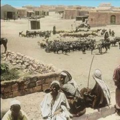 بئرالسبع - هجيني امير ابو عبود - تلعب في قلبي