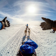 Moving Forward: 12 Expeditions into Progressive Sounds