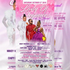 LADY OF ELEGANCE PROMO CD(NIKKI HYPE)