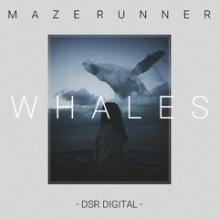 Maze Runner - Whales (Original Mix) [DSR Digital] (Preview)