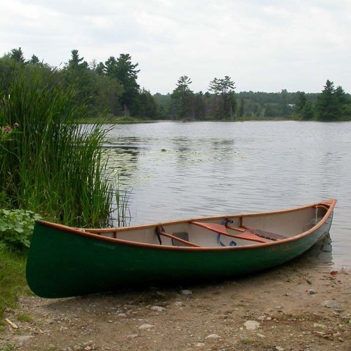 The Robot & Me - Canoe - 04 The Kill