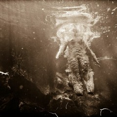 Twilight (Dizkoo's Its All About House Booty)