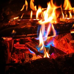 Trap on Fire